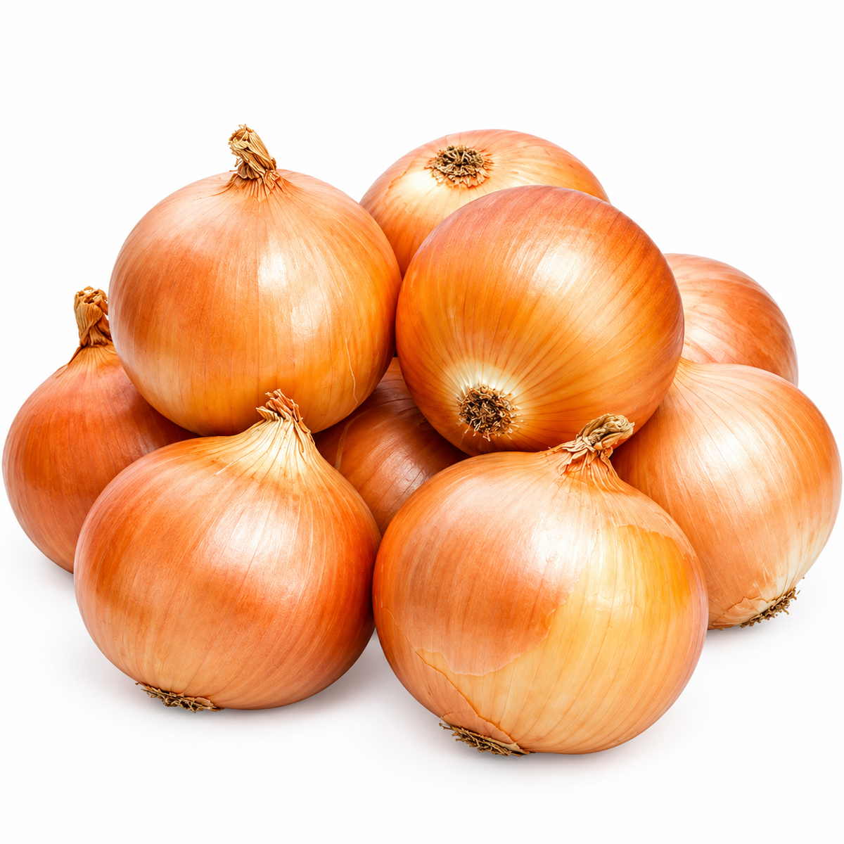 Onion KG