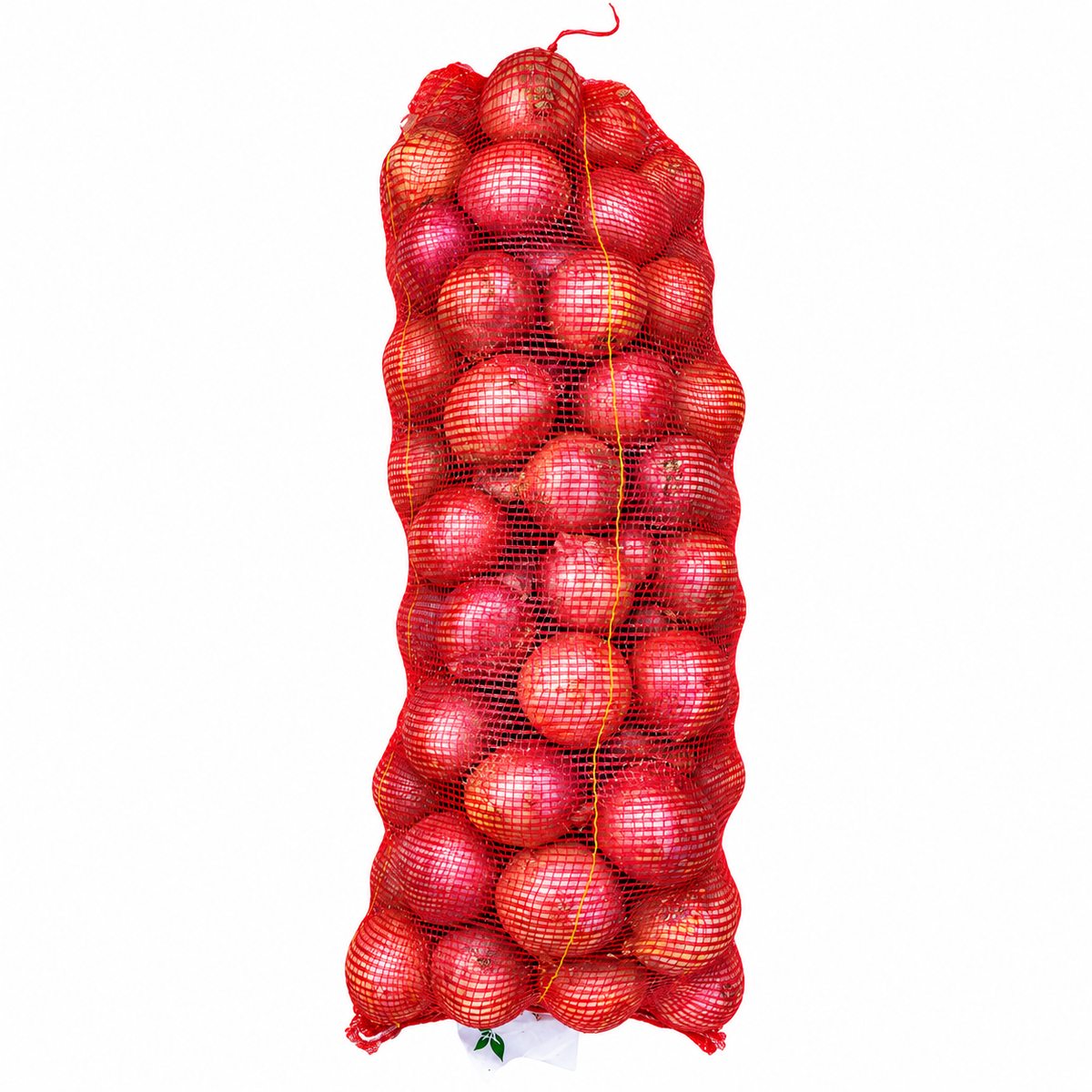 Onion 9KG/10KG