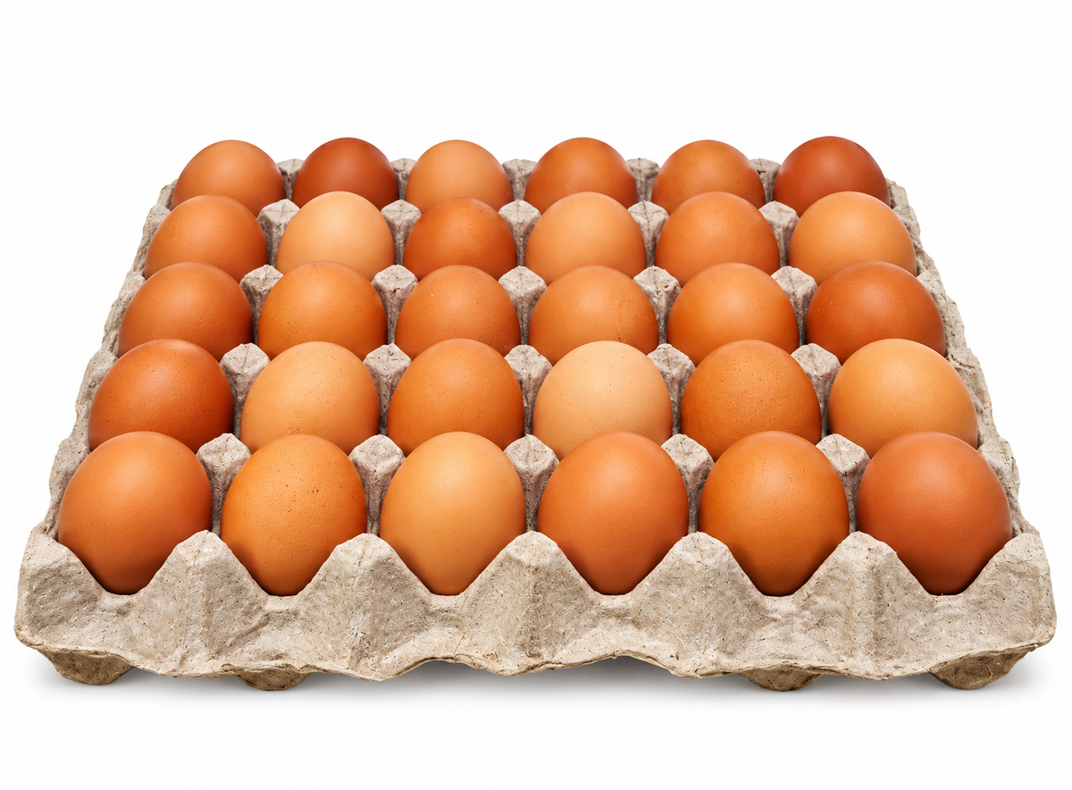 Eggs 1X30